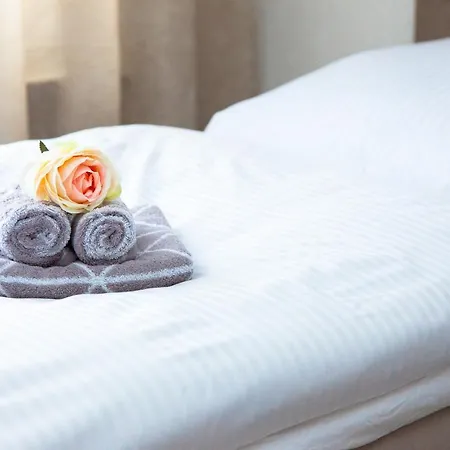 T&k Near Messe Fair Trade Duesseldorf Und Airport 2b Appartement *