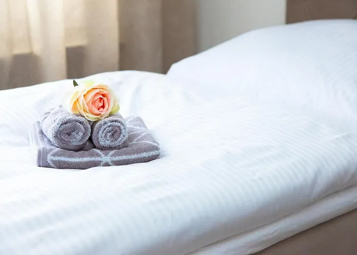 T&k Near Messe Fair Trade Düsseldorf Und Airport 2b Apartment *